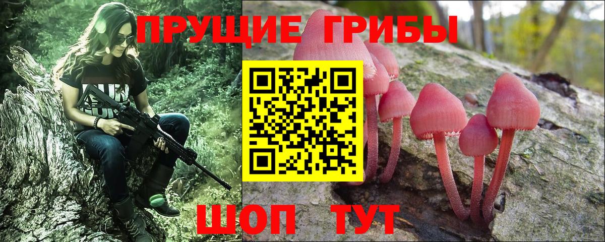 Коряжма  Галлюциногенные грибы MAGIC MUSHROOMS  Псилоцибиновые грибы Psilocybe  хочу   Вход с VPN 