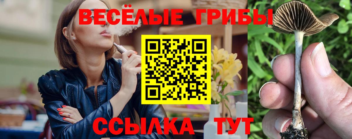 Псилоцибиновые грибы мицелий Коряжма